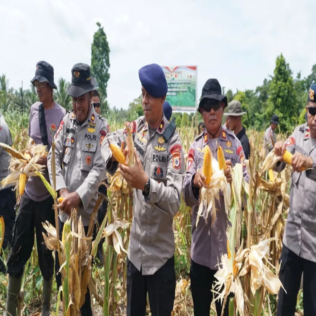 Panen Jagung Brimob di Amahai, Aksi Nyata Swasembada Pangan 2026
